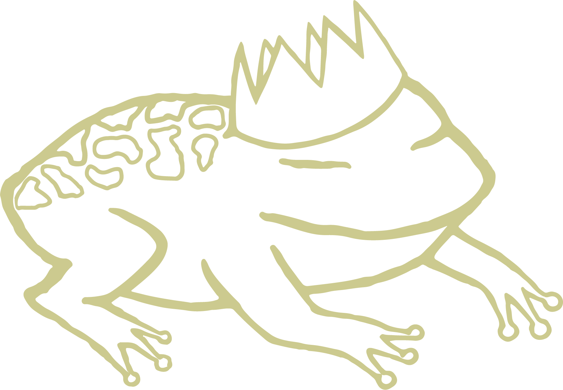 Anillo de Compromiso Carlos